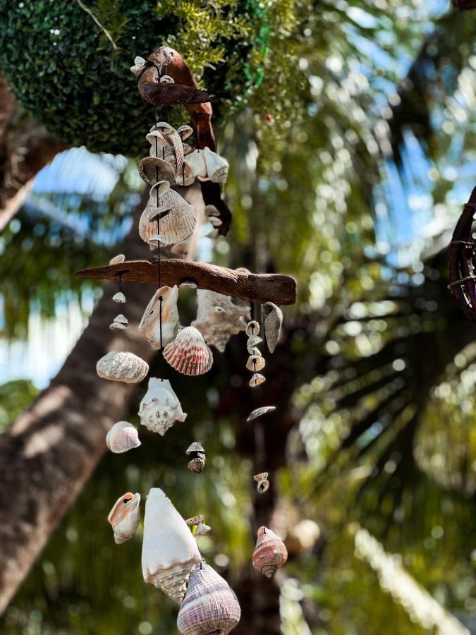 Zamunda Garden View Hotel Tulum Eksteriør billede