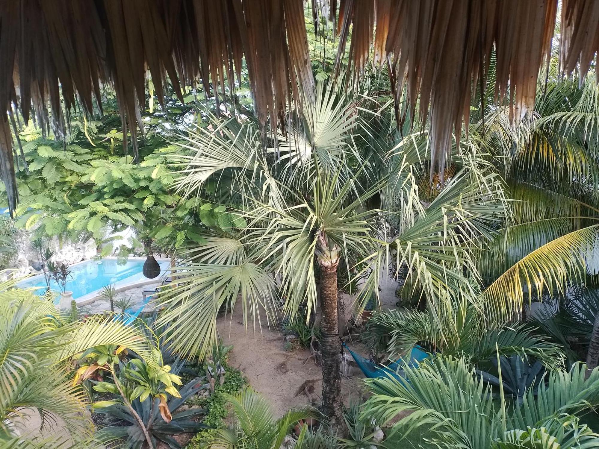Zamunda Garden View Hotel Tulum Eksteriør billede