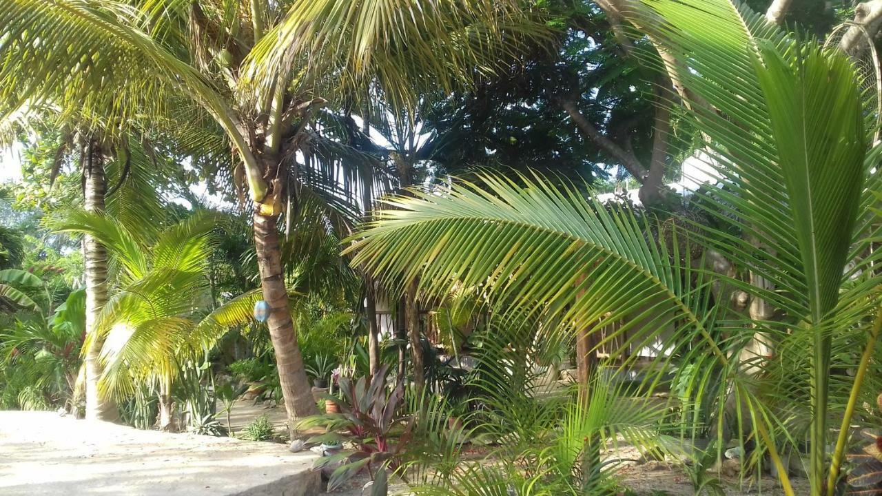 Zamunda Garden View Hotel Tulum Eksteriør billede